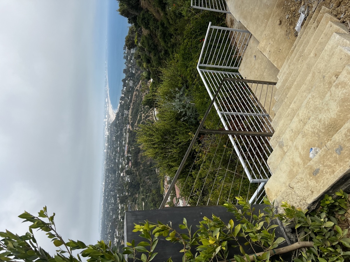 Stainless steel balcony railings